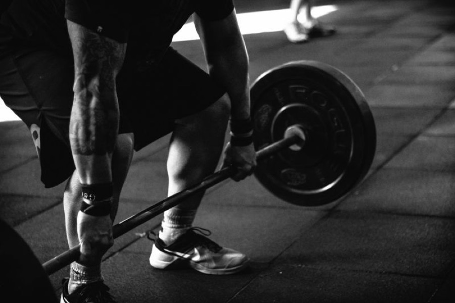 dsc06061-2319(2)_500_332